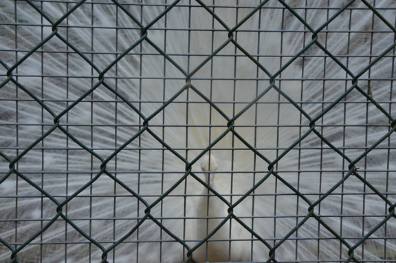 2023_Foto-AG_Tierpark_002.JPG