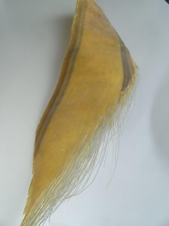 DSC03975.jpg 