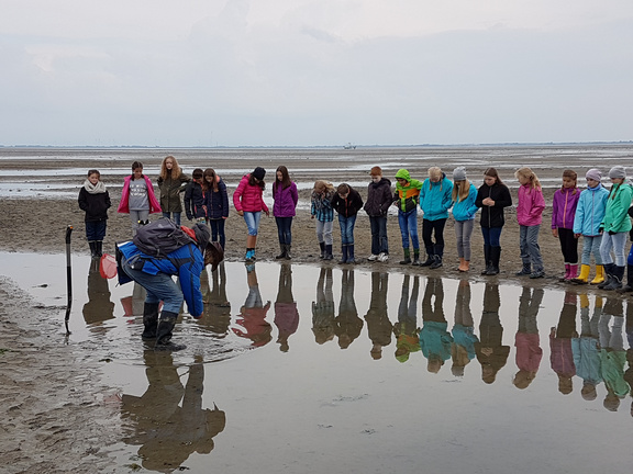 langeoog1.jpg 