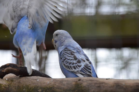 2023_Foto-AG_Tierpark_004.JPG