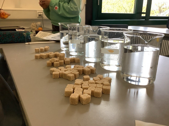 2023_Ch_Chem-pions_001.jpg