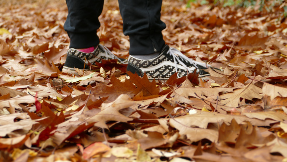 2020_F-AG_Herbst_5.JPG