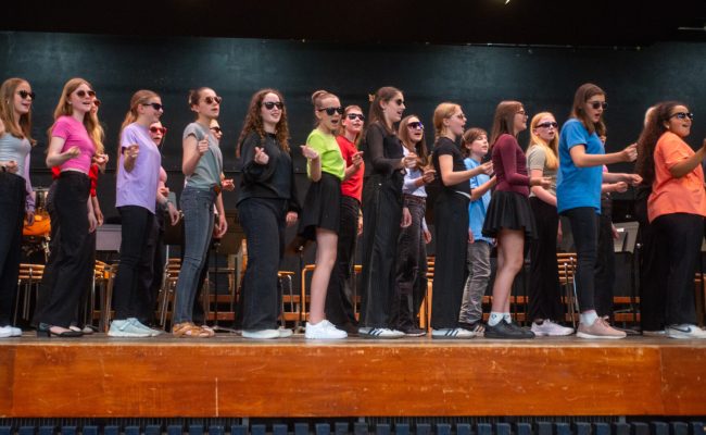 sommerkonzert FGH / Friedrichs-Gymnasium